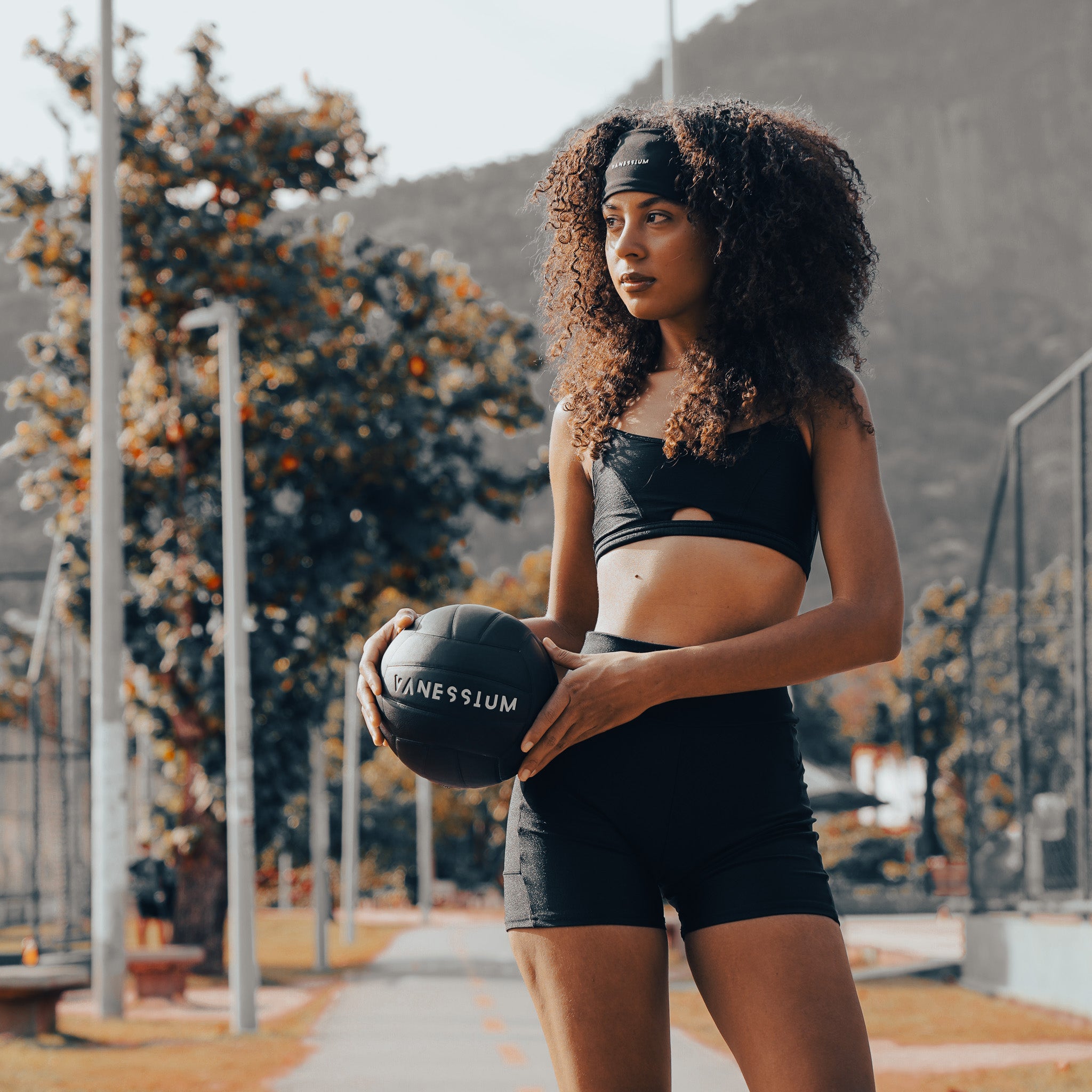 Signature Volleyball